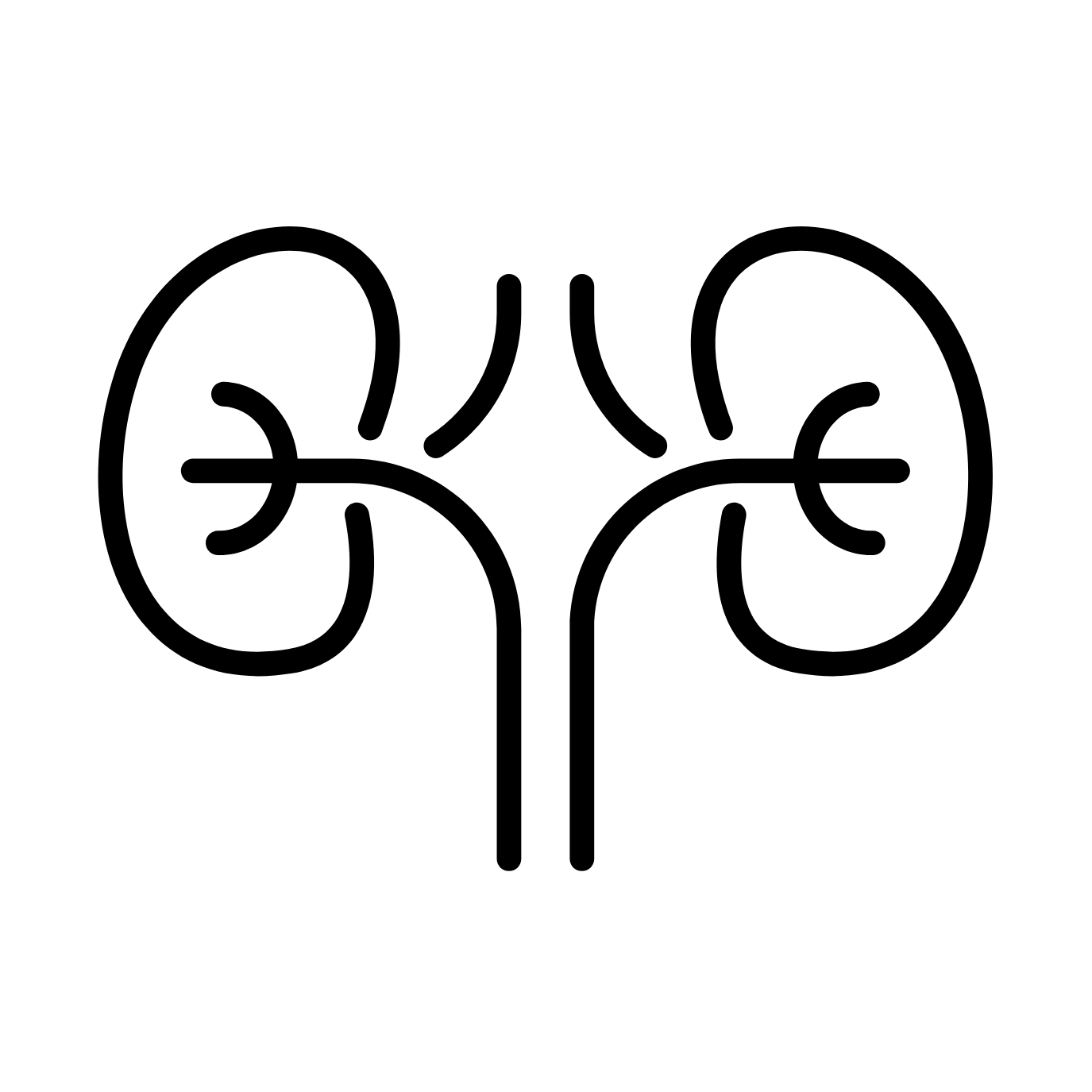 300+ Nephrology Notes