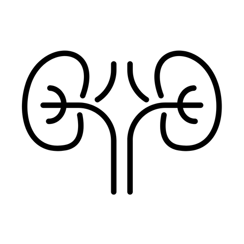 300+ Nephrology Notes