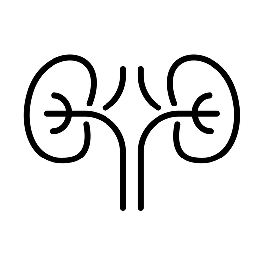 300+ Nephrology Notes